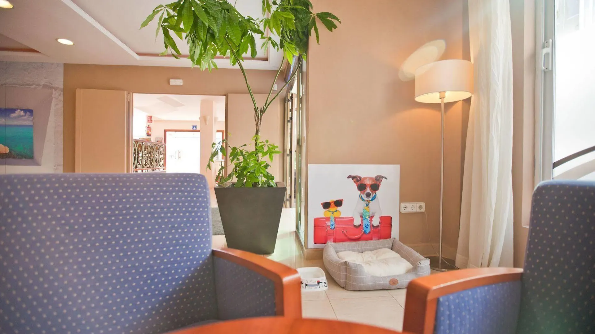 Azuline Hotel Mediterraneo Santa Eularia des Riu 2*,